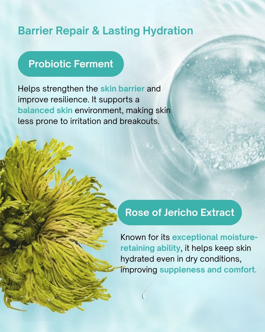 Balancing Treatment Cream
