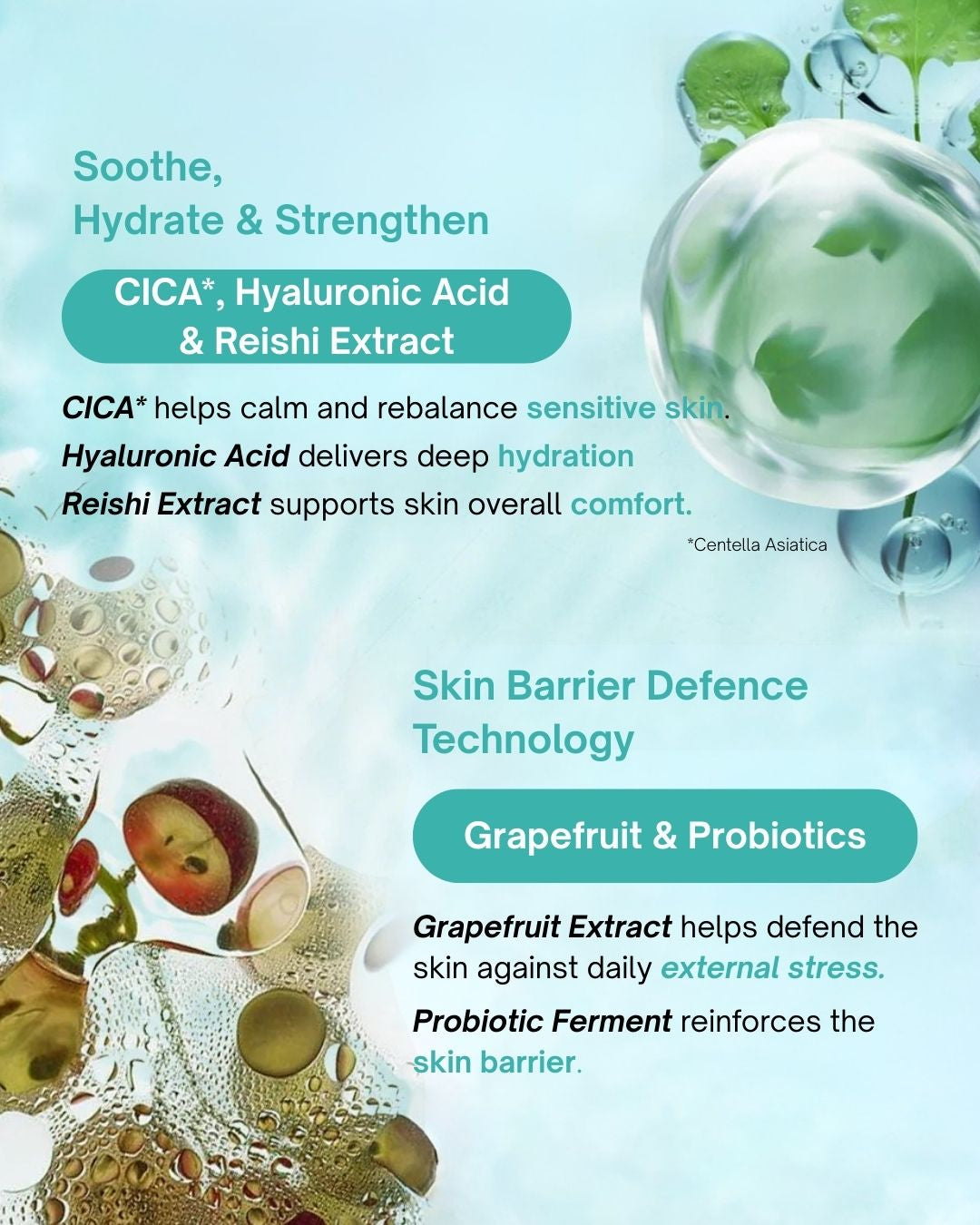 Balancing Treatment Toner