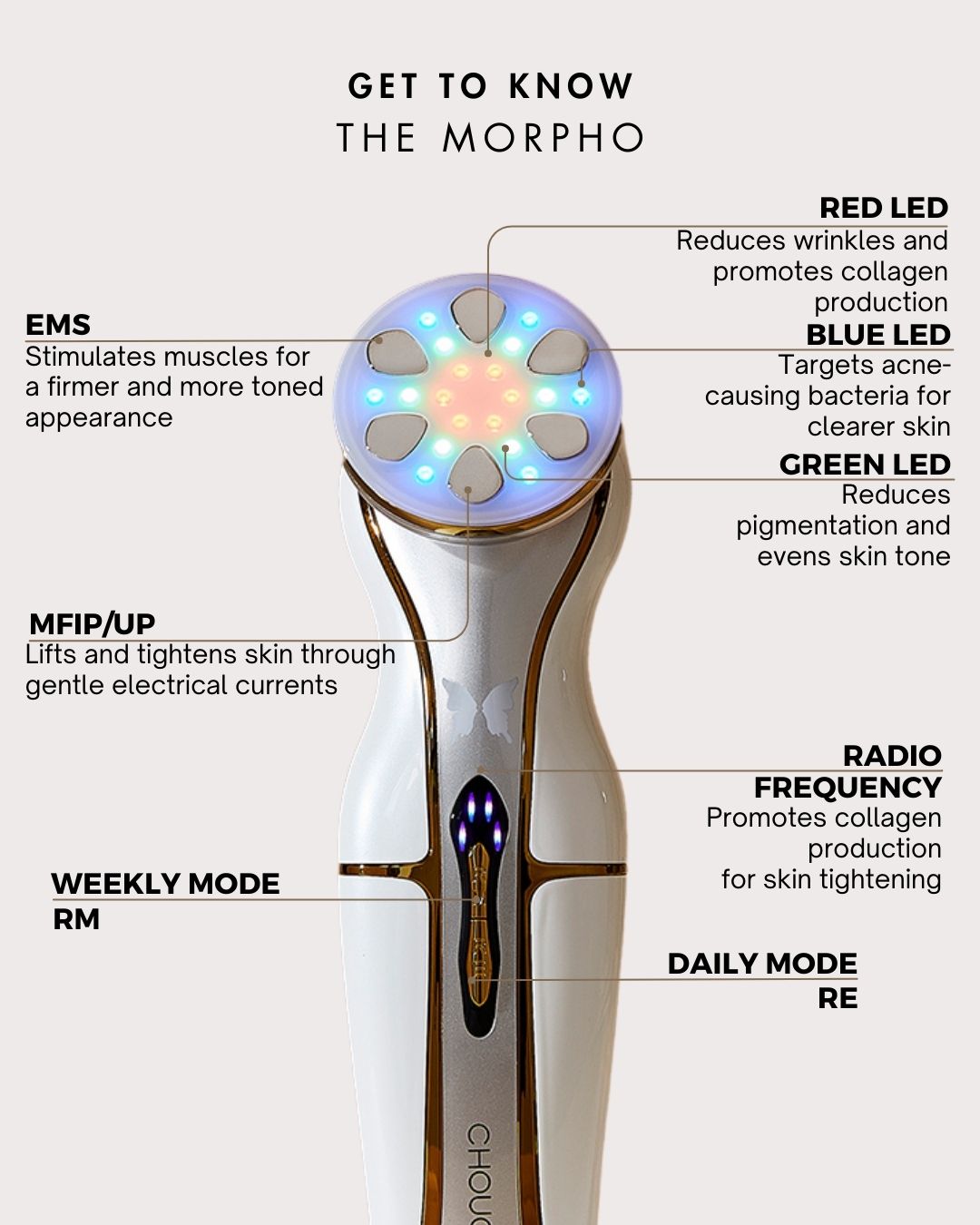 The Morpho